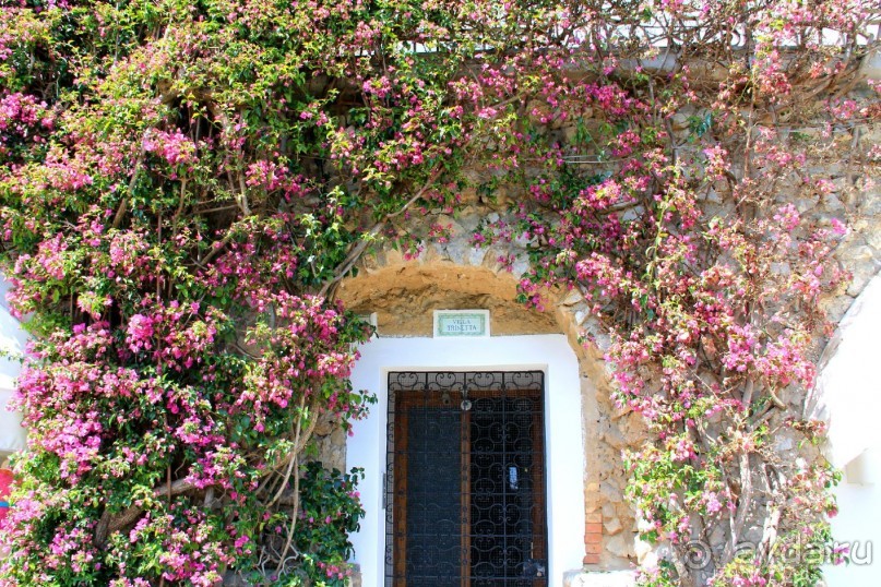 Самостоятельная поездка с острова Искья на остров Капри