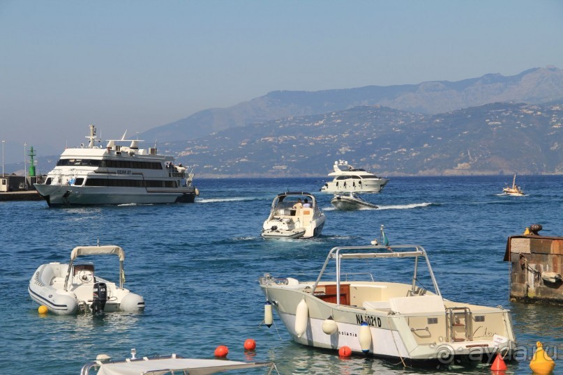 Вот такие красавцы за туристами приезжают!)