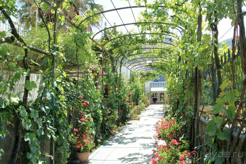 Дворик. Анакапри