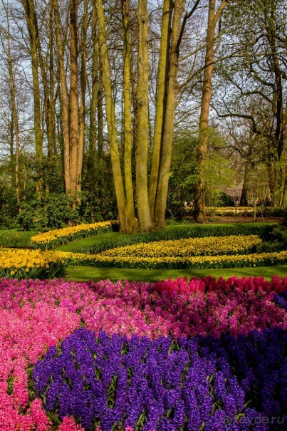 Самостоятельная поездка в Кёкенхоф с комбинированным билетом.