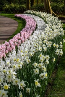 Самостоятельная поездка в Кёкенхоф с комбинированным билетом.