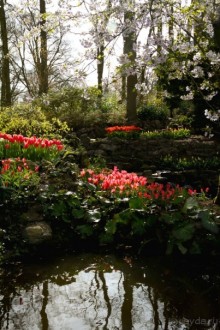 Самостоятельная поездка в Кёкенхоф с комбинированным билетом.