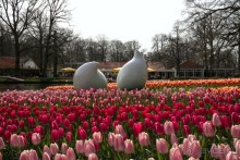 Самостоятельная поездка в Кёкенхоф с комбинированным билетом.