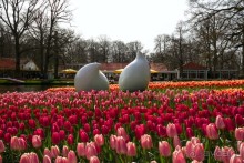 Самостоятельная поездка в Кёкенхоф с комбинированным билетом.