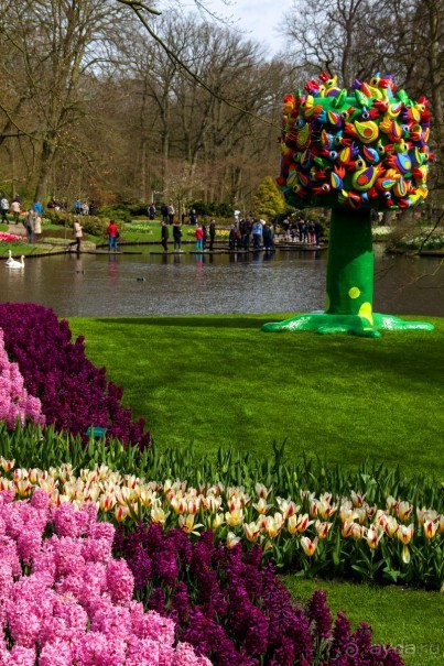 Самостоятельная поездка в Кёкенхоф с комбинированным билетом.