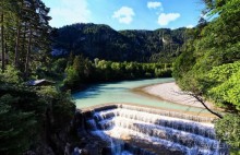 Бавария. Фюссен. Удивительно, но случается. Часть третья. Фауна. (Змея).