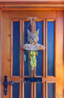 Бавария. Фюссен. Удивительно, но случается. Часть третья. Фауна. (Змея).