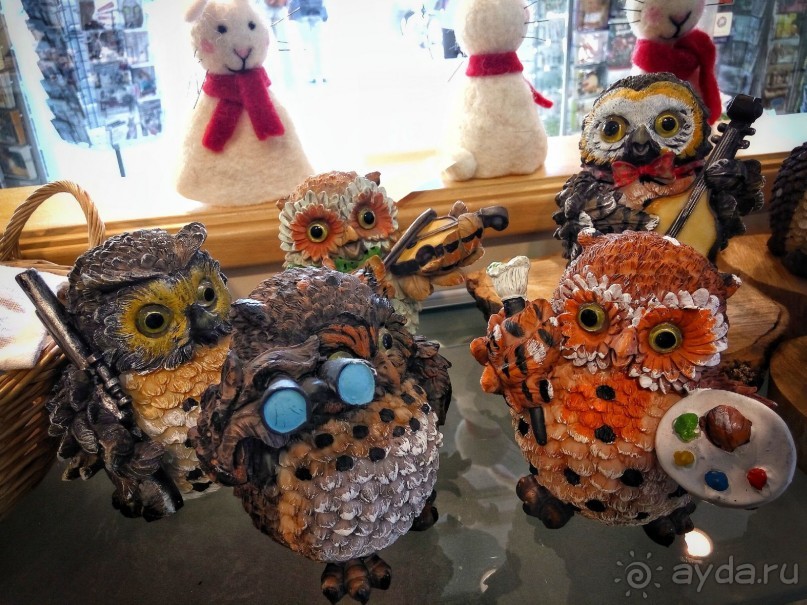 Альбом отзыва "Бавария. Фюссен. Удивительно, но случается. Часть третья. Фауна. (Змея)."