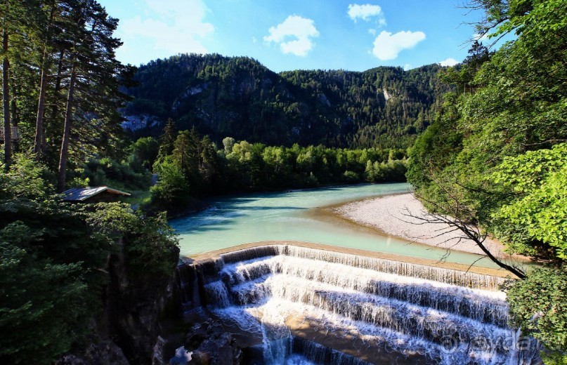 Альбом отзыва "Бавария. Фюссен. Удивительно, но случается. Часть третья. Фауна. (Змея)."