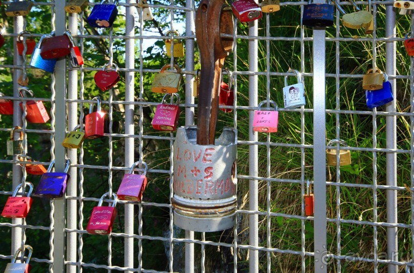Альбом отзыва "Бавария. Фюссен. Удивительно, но случается. Часть третья. Фауна. (Змея)."