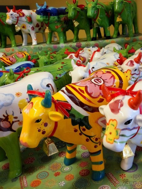 Альбом отзыва "Бавария. Фюссен. Удивительно, но случается. Часть третья. Фауна. (Змея)."