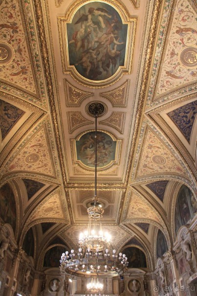 Как дёшево побывать в Венской Опере