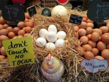 Современные заметки о Барселоне