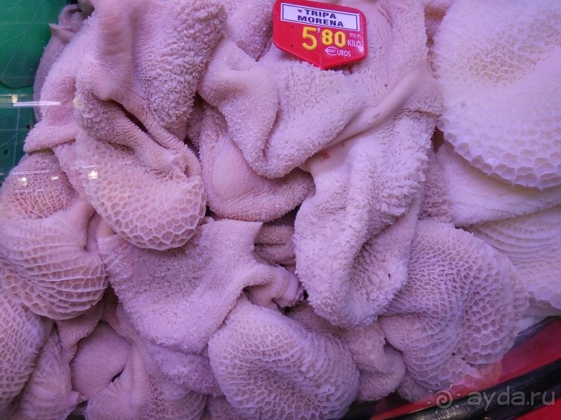 Современные заметки о Барселоне