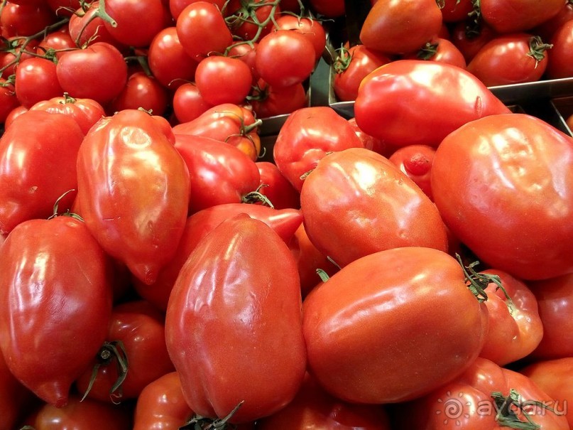 Современные заметки о Барселоне