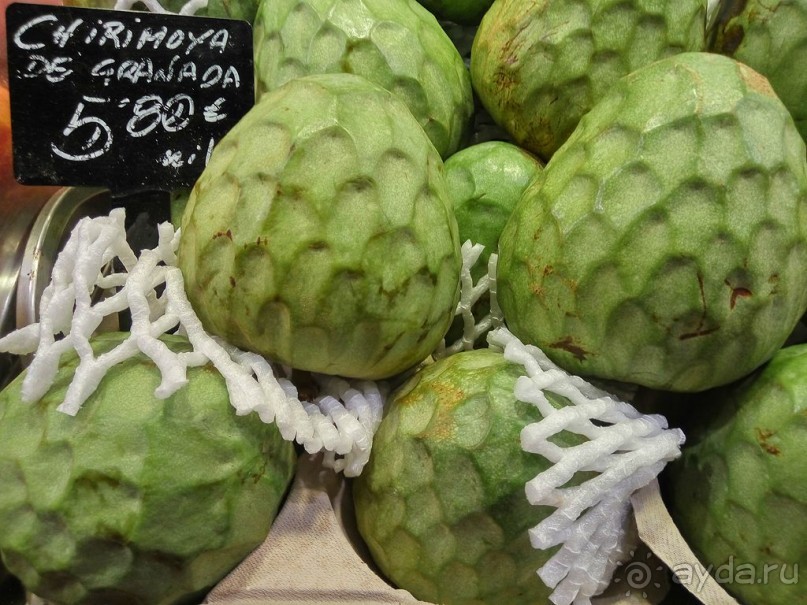 Современные заметки о Барселоне