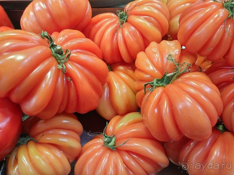 Современные заметки о Барселоне