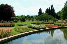 Летом Вена и Баден великолепны! 