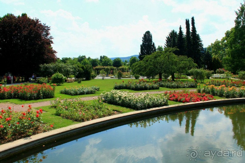 Летом Вена и Баден великолепны! 