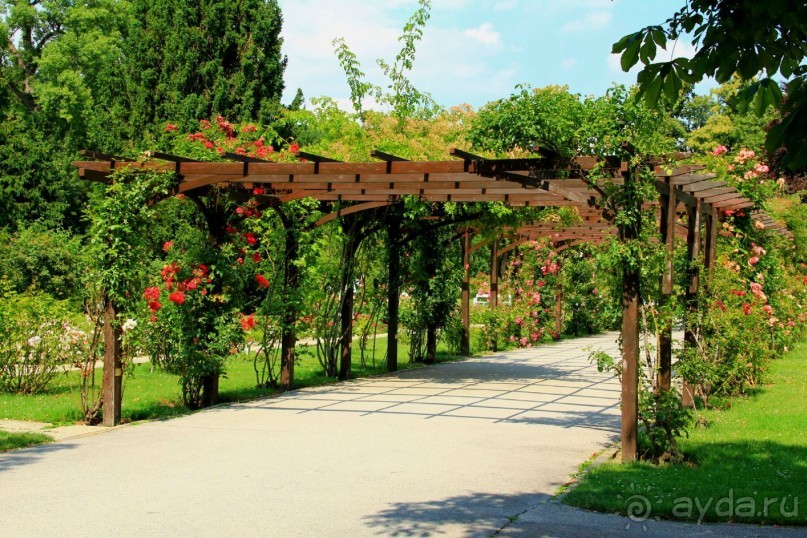 Летом Вена и Баден великолепны! 