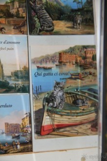 Как мы жили в отеле Витториа Искья Порто 