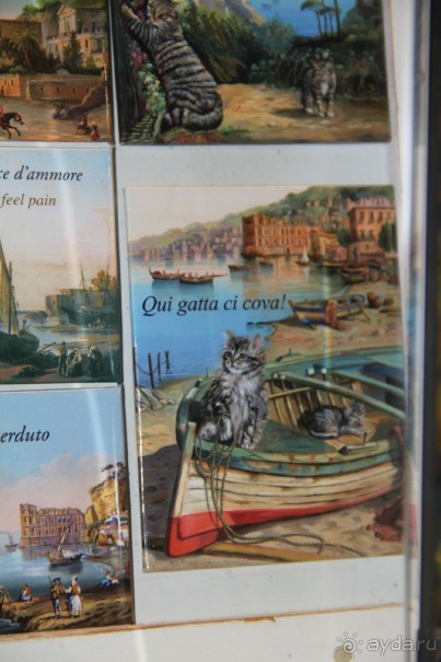 Как мы жили в отеле Витториа Искья Порто 