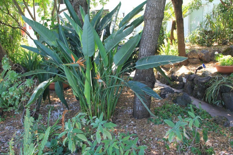 Отзыв номер 2 с фотографиями (Читайте про Искью в моих Путешествиях)