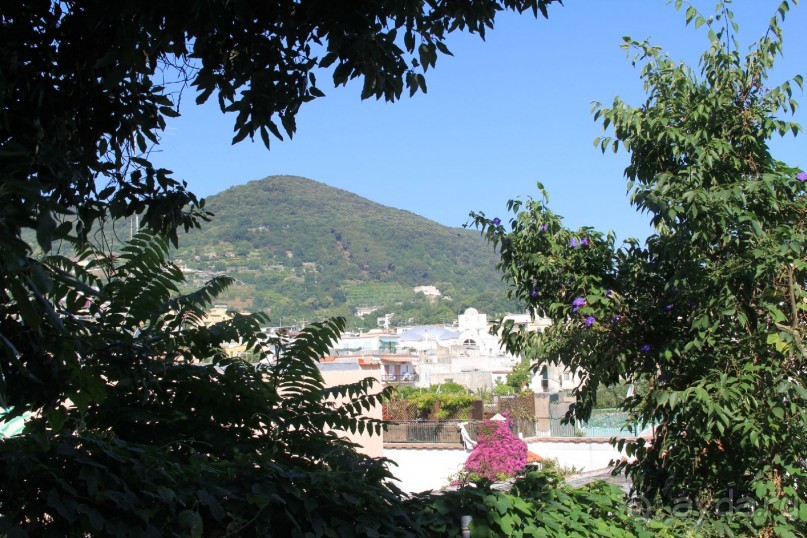 Отзыв номер 2 с фотографиями (Читайте про Искью в моих Путешествиях)