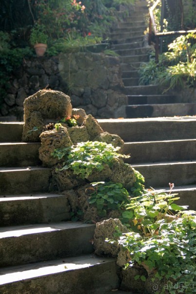 Отзыв номер 2 с фотографиями (Читайте про Искью в моих Путешествиях)