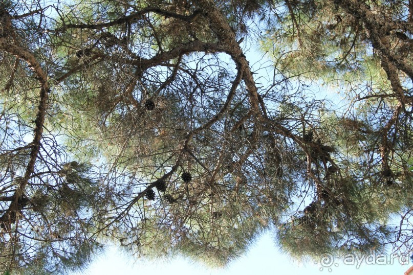 Отзыв номер 2 с фотографиями (Читайте про Искью в моих Путешествиях)