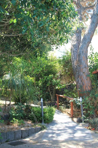 Отзыв номер 2 с фотографиями (Читайте про Искью в моих Путешествиях)