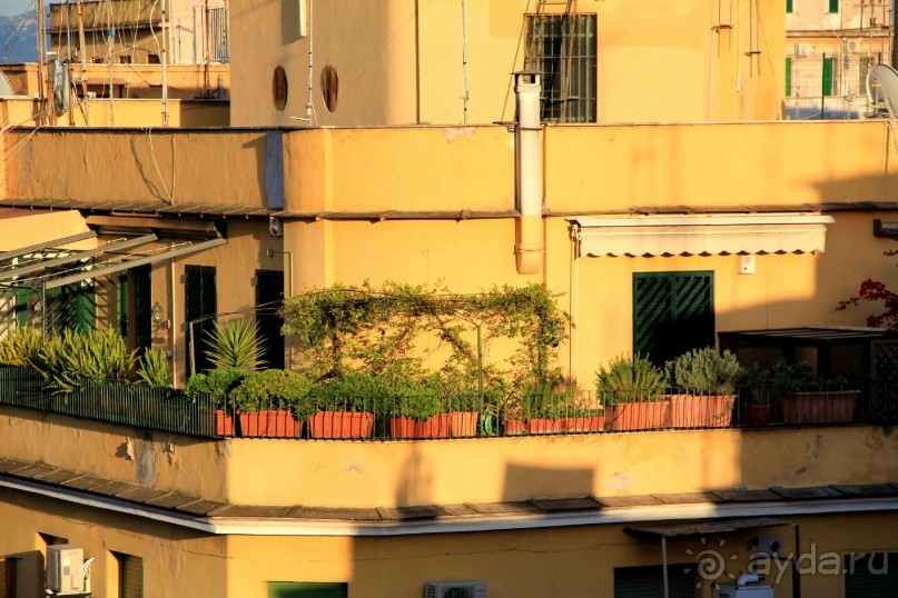 Как я на них не ворчала за преавторизацию карты, всё равно хочу туда вернуться!