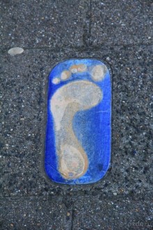 Поездка в Заандам и Заансе Сханс с The Amsterdam and Region Day Ticket.