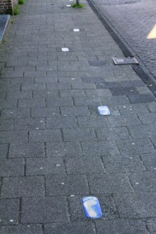 Поездка в Заандам и Заансе Сханс с The Amsterdam and Region Day Ticket.