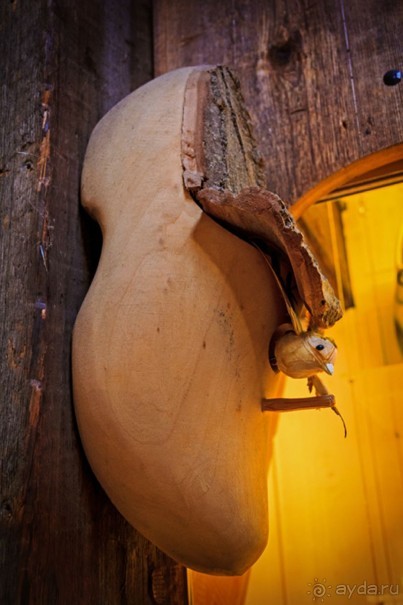 Альбом отзыва "Поездка в Заандам и Заансе Сханс с The Amsterdam and Region Day Ticket."