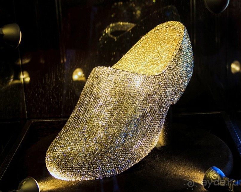 Альбом отзыва "Поездка в Заандам и Заансе Сханс с The Amsterdam and Region Day Ticket."