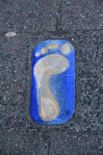 Поездка в Заандам и Заансе Сханс с The Amsterdam and Region Day Ticket.