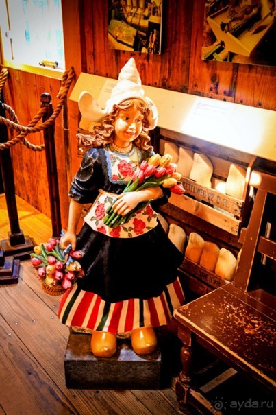 Альбом отзыва "Поездка в Заандам и Заансе Сханс с The Amsterdam and Region Day Ticket."