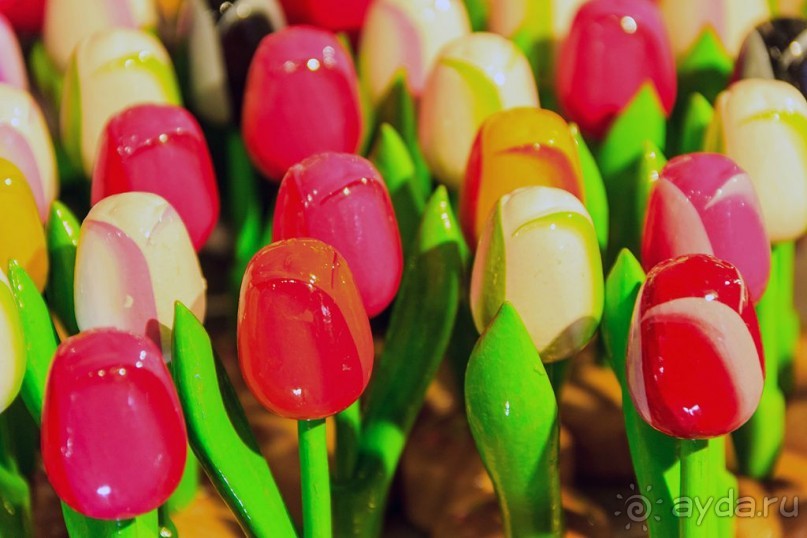 Альбом отзыва "Поездка в Заандам и Заансе Сханс с The Amsterdam and Region Day Ticket."