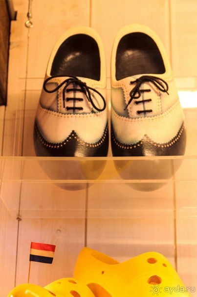 Альбом отзыва "Поездка в Заандам и Заансе Сханс с The Amsterdam and Region Day Ticket."