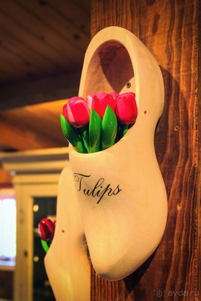 Альбом отзыва "Поездка в Заандам и Заансе Сханс с The Amsterdam and Region Day Ticket."