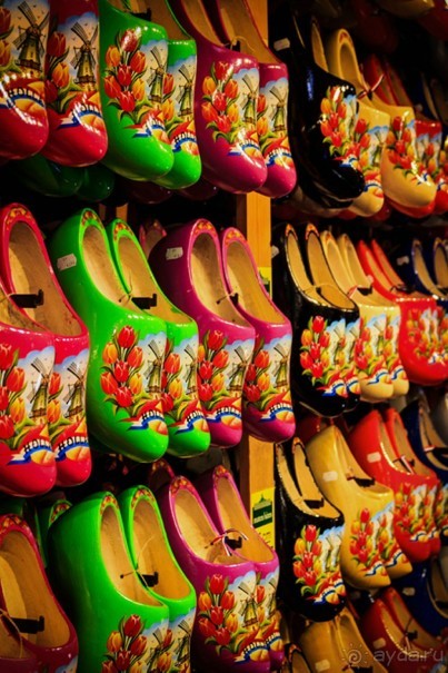 Альбом отзыва "Поездка в Заандам и Заансе Сханс с The Amsterdam and Region Day Ticket."