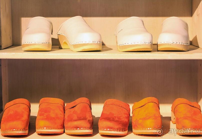 Альбом отзыва "Поездка в Заандам и Заансе Сханс с The Amsterdam and Region Day Ticket."