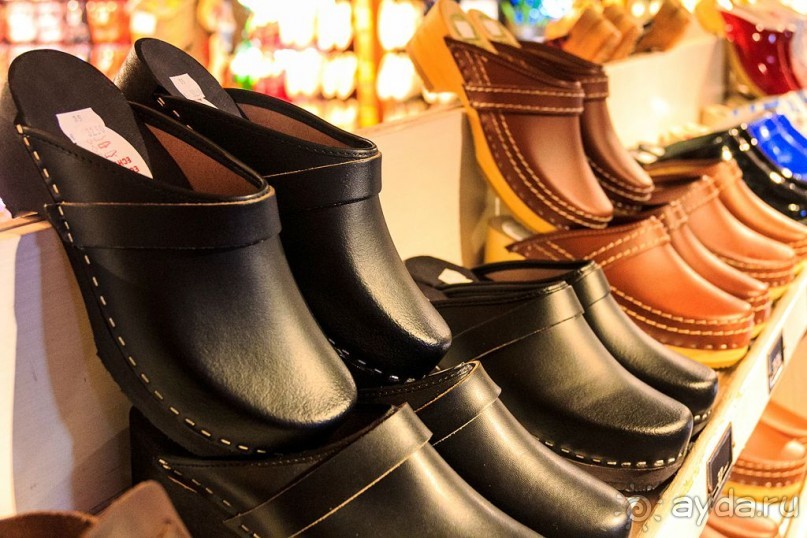 Альбом отзыва "Поездка в Заандам и Заансе Сханс с The Amsterdam and Region Day Ticket."