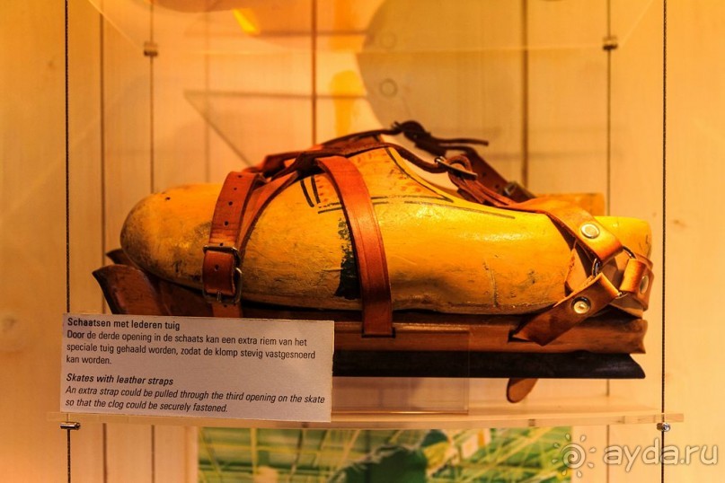 Альбом отзыва "Поездка в Заандам и Заансе Сханс с The Amsterdam and Region Day Ticket."