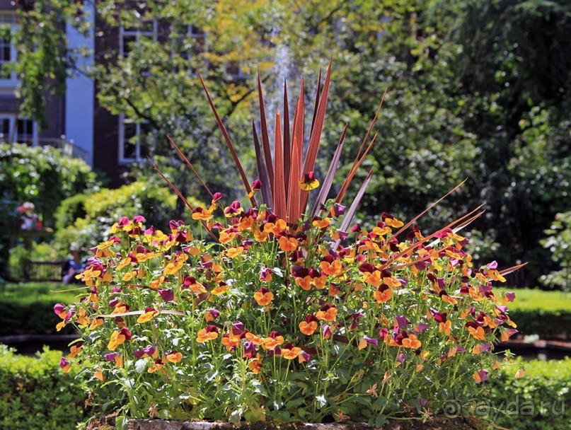 Музей Ван Лоона, Музей Гелвинка Хинлопена, Музей Виллета Холтхюйзена в Амстердаме.