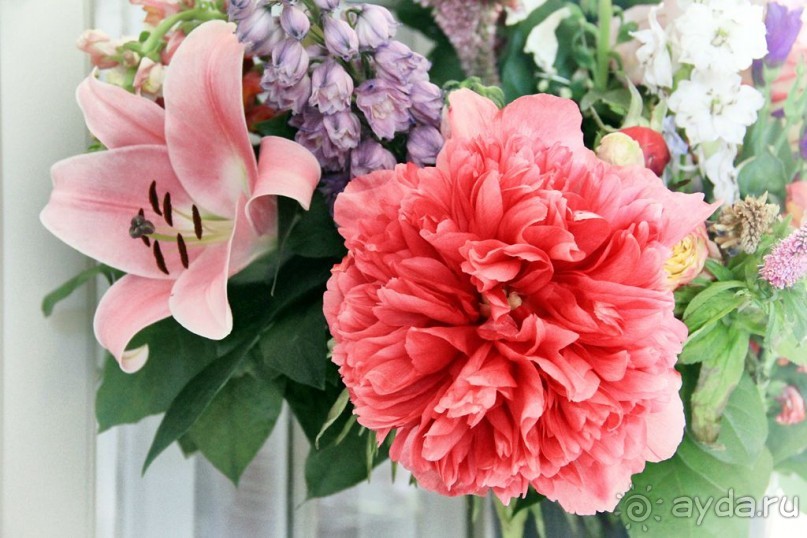 Музей Ван Лоона, Музей Гелвинка Хинлопена, Музей Виллета Холтхюйзена в Амстердаме.