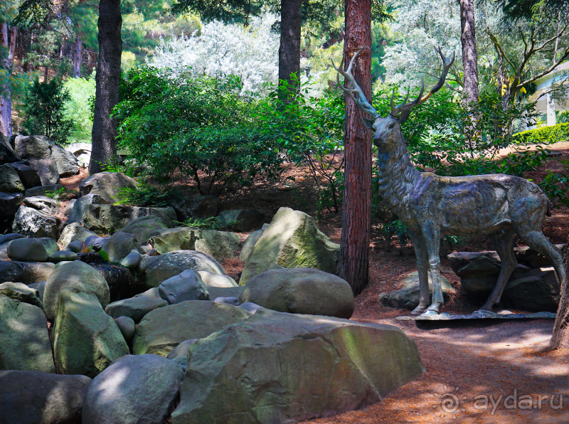 Парк Парадиз. Санаторий Айвазовское. Партенит. Крым