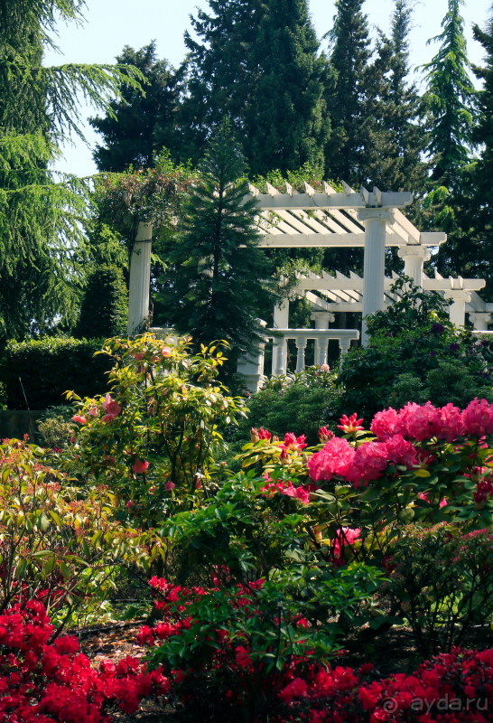 Парк Парадиз. Санаторий Айвазовское. Партенит. Крым