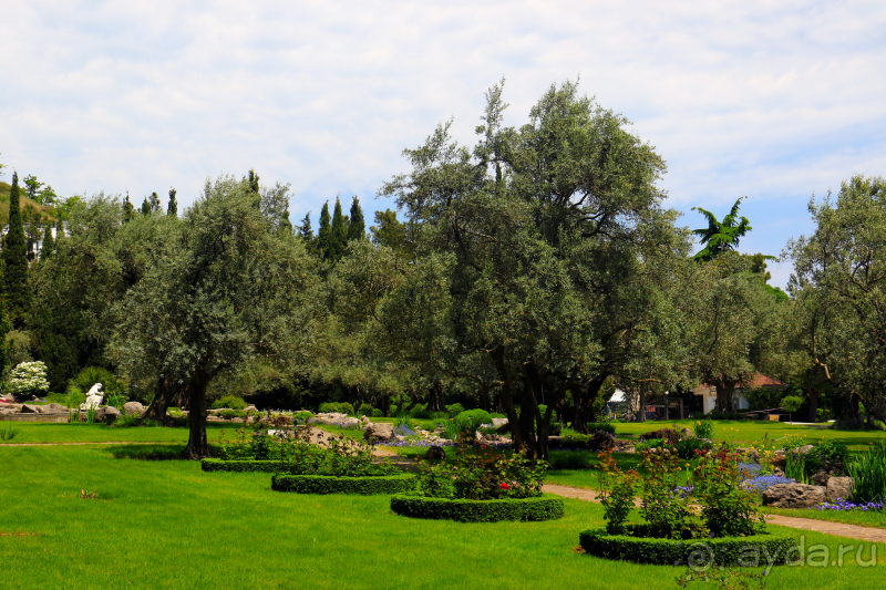 Парк Парадиз. Санаторий Айвазовское. Партенит. Крым